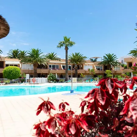 公寓 Poolviewzen-corralejoplaya *